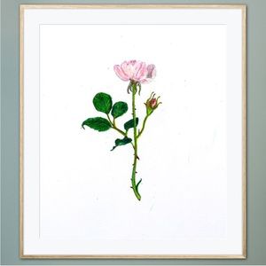 Pink Rose Bud Art Print Flower Nature Love Simple Natural Home Decor Shabby Chic